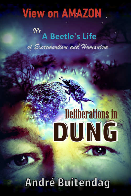 Deliberations in Dung – It’s a Beetle’s Life